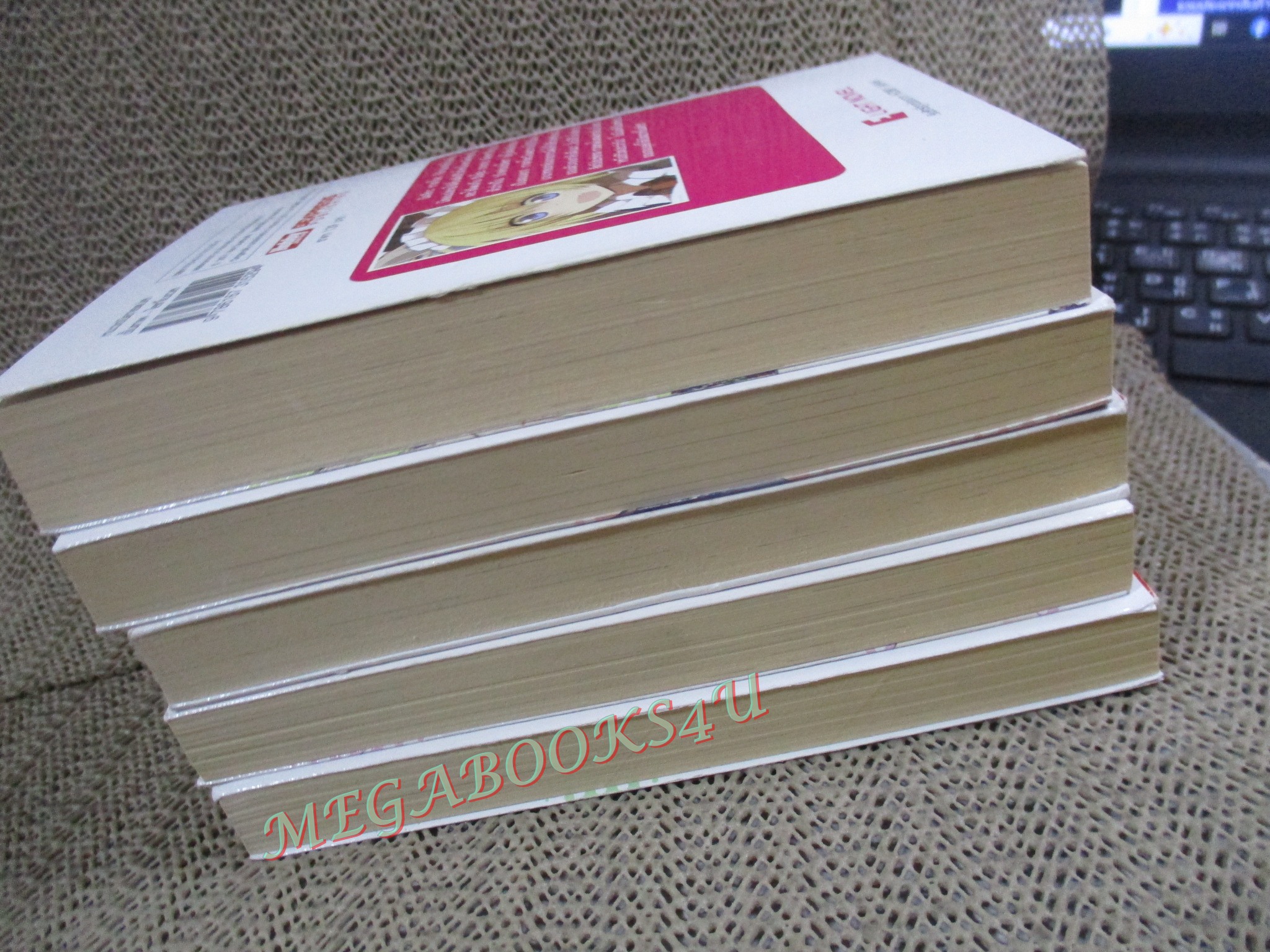 นิยาย หออลวนคนขั้นเทพ ผู้เขียน Ken Suebashi (เคน สุเอบาชิ) ผู้แปล กุลธิดา ชลรัตนกุล เล่ม 01-05