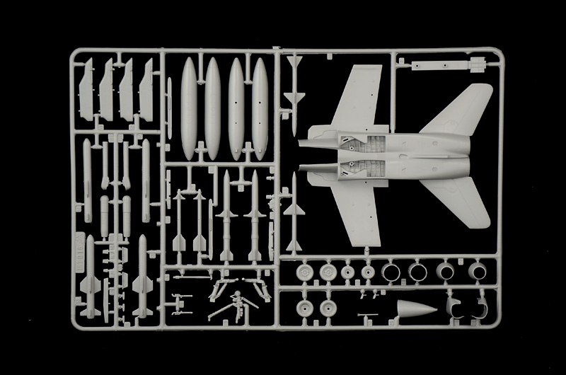 1/72 F/A-18 HORNET TIGER MEET 2016