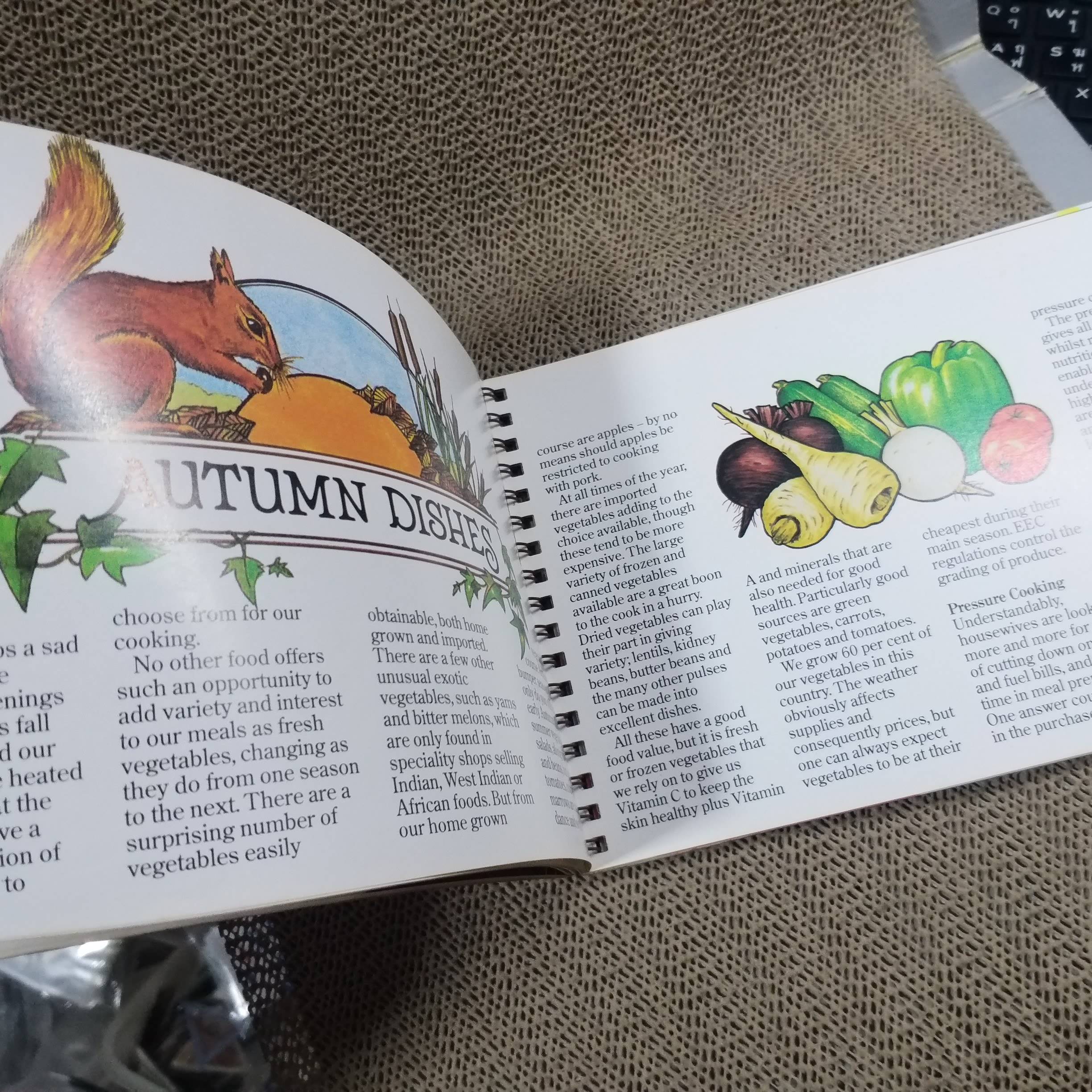 หนังสือ สูตรอาหารนิวซีแลนด์ จำพวกเนื้อแกะ THE NEW ZEALAND LAMP INTERNATIONAL COOKBOOK