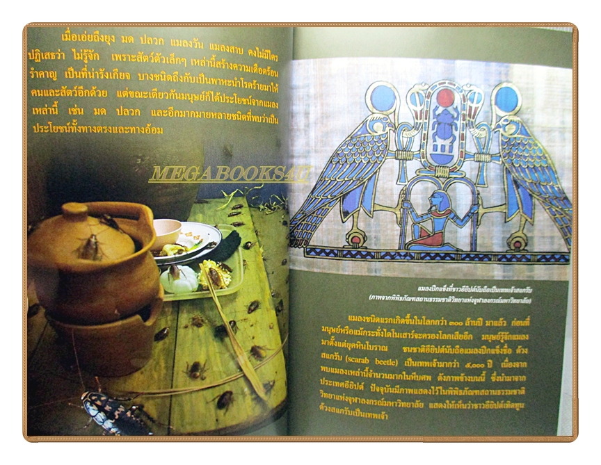 สารานุกรมไทยสำหรับเยาวชนฉบับเสริมการเรียนรู้ เล่ม17 โดยพระราชประสงค์ในพระบาทสมเด็จพระเจ้าอยู่หัว