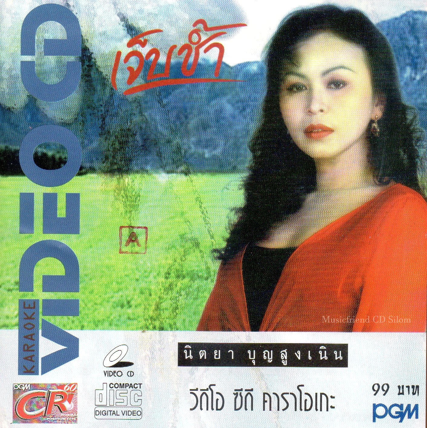 VCD Karaoke,นิตยา บุญสูงเนิน - เจ็บช้ำ (Nittaya Boonsungnern)(วีซีดี คาราโอเกะ)(2543)