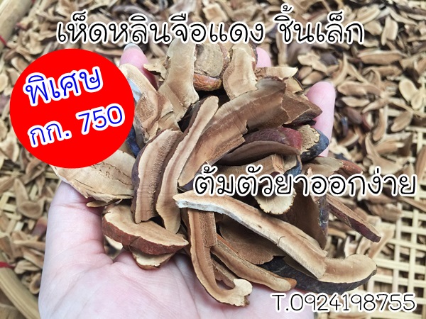 เห็ดหลินจือแดง (ชิ้นบาง+หั่นสั่น) คัดอย่างดี 1กก