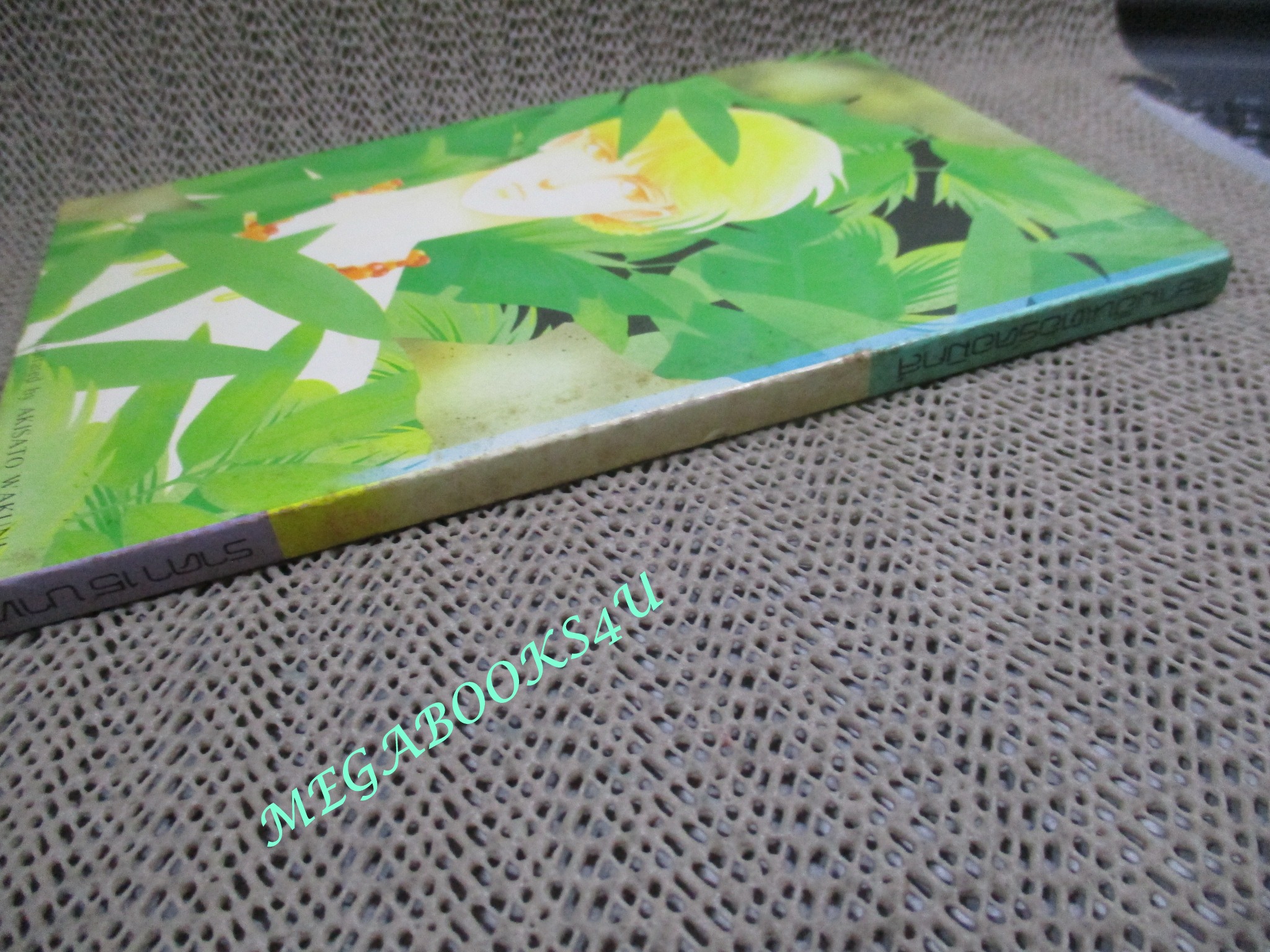 ความลับที่สุดขอบฟ้า / KOSAKA TOMOKO / เล่มเดียวจบ /สยามฯ/ สภาพดี