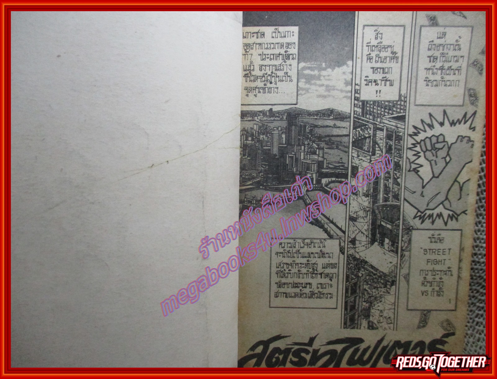 การ์ตูนบ้าน สตรีทไฟเตอร์ เล่มเดียวจบ สนพ.สุภาพ สภาพปานกลาง