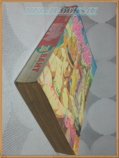 พ่อลูกคู่กัด เล่มเดียวจบ หมึกจีน สภาพดี หนังสือแข็งแรง