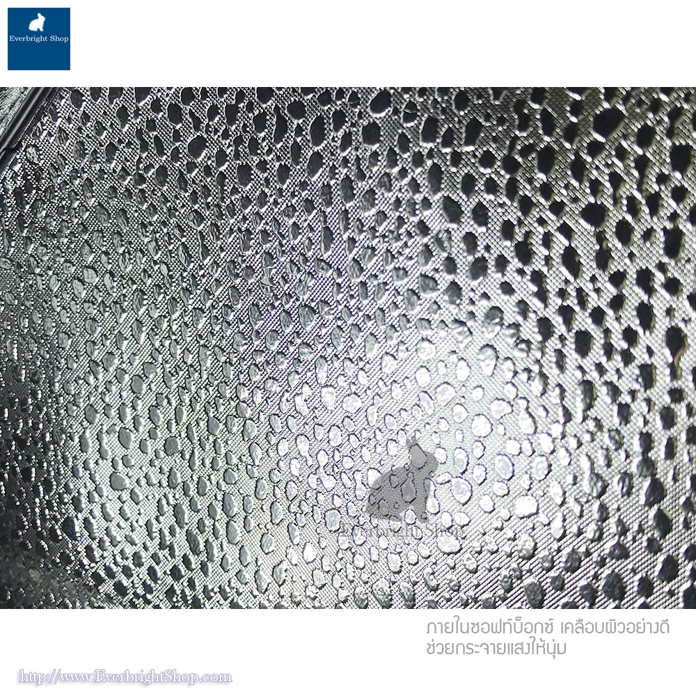 Studio Set A ชุดไฟสตูดิโอพร้อมฉาก 2x3M ความสว่างสูงสุด 12000LM