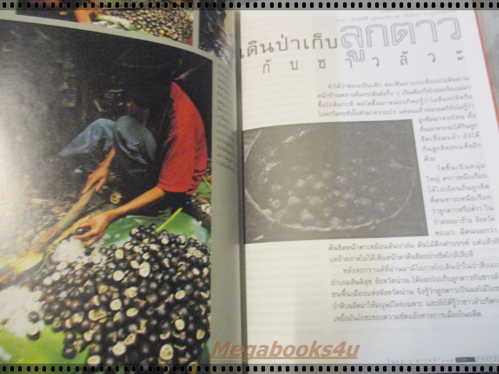 นิตยสารสารคดี ฉบับที่149 ปี2540 ไดโนเสาร์ ลูกตาว กอริลลา อุทยานฯเขาชะเมา