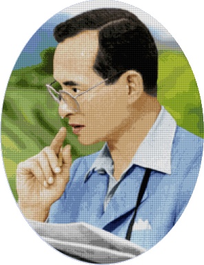 Pinn ในหลวง (พระเสโทหยด) วงรี