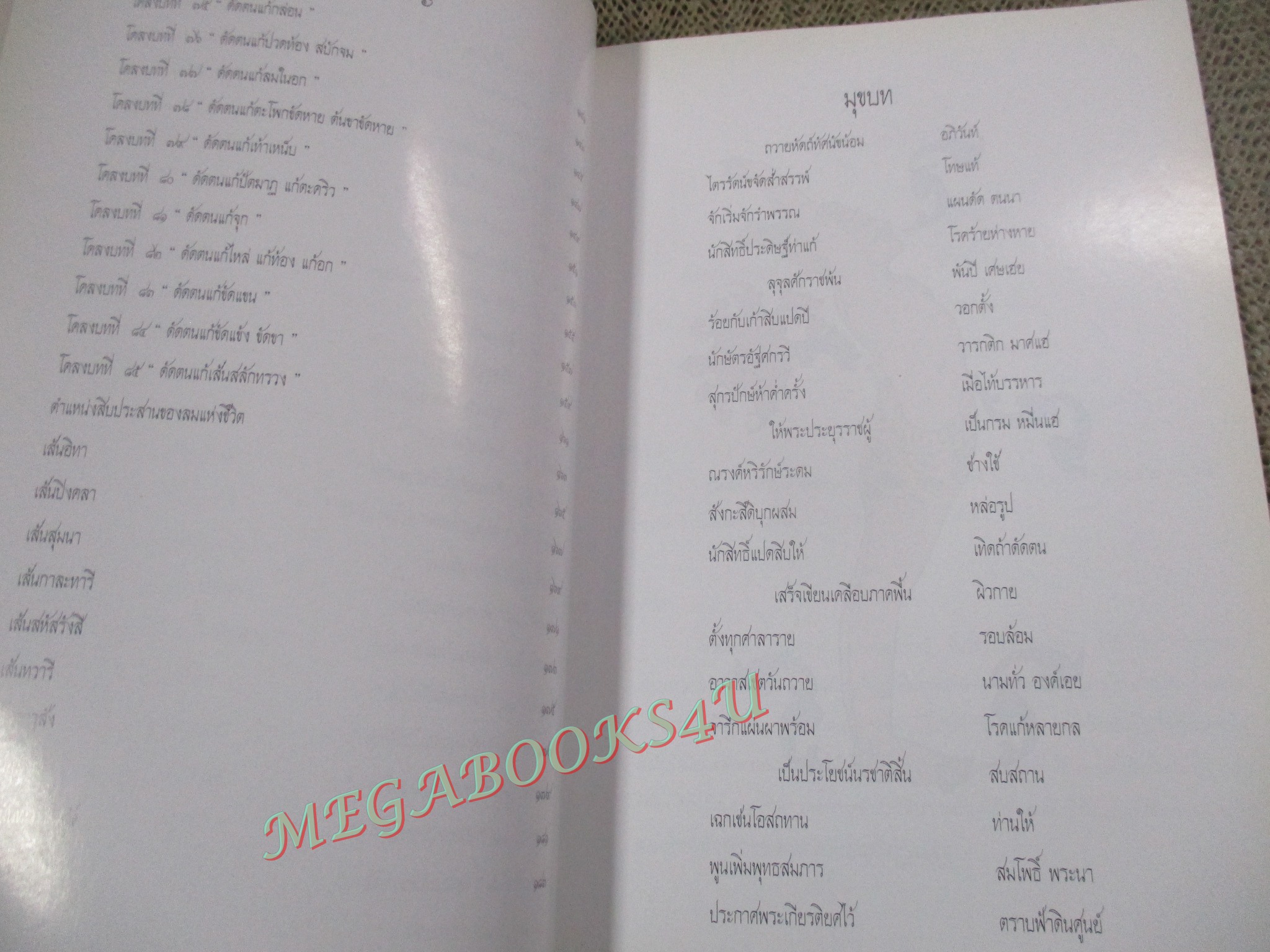 80 ท่าบท ฤาษีดัดตน วัดโพธิ์ โดย อินทรประกันภัย