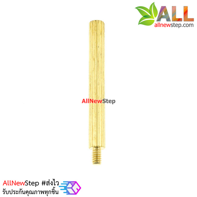 น็อตทองเหลือง NUT M2 ขนาด 25+3mm