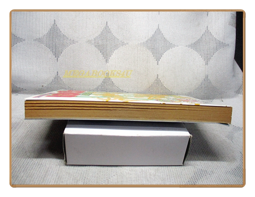 AREA88 เอเรีย88 เล่ม19 โดย SHINTANI KAORU สนพ.สยามฯ สภาพดีมาก