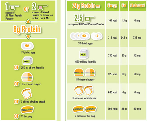 NUTRILITE All Plant Protein Powder นิวทริไลท์ ออล แพลนท์