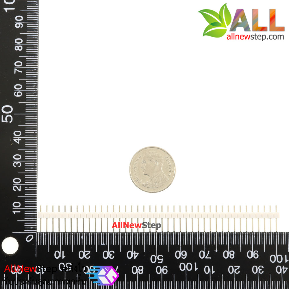 ก้างปลา 40 ขา สีขาว 2.54mm White Single Row Male 1X40 Copper Pin Header Strip