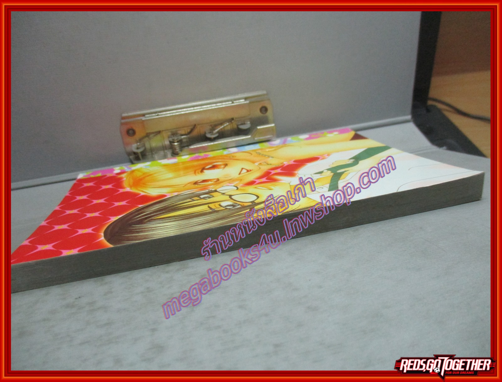 การ์ตูนบ้าน FIRST LOVE เฟิรสต์ เลิฟ 33 เล่มเดียวจบ สนพ.หมึกจีน