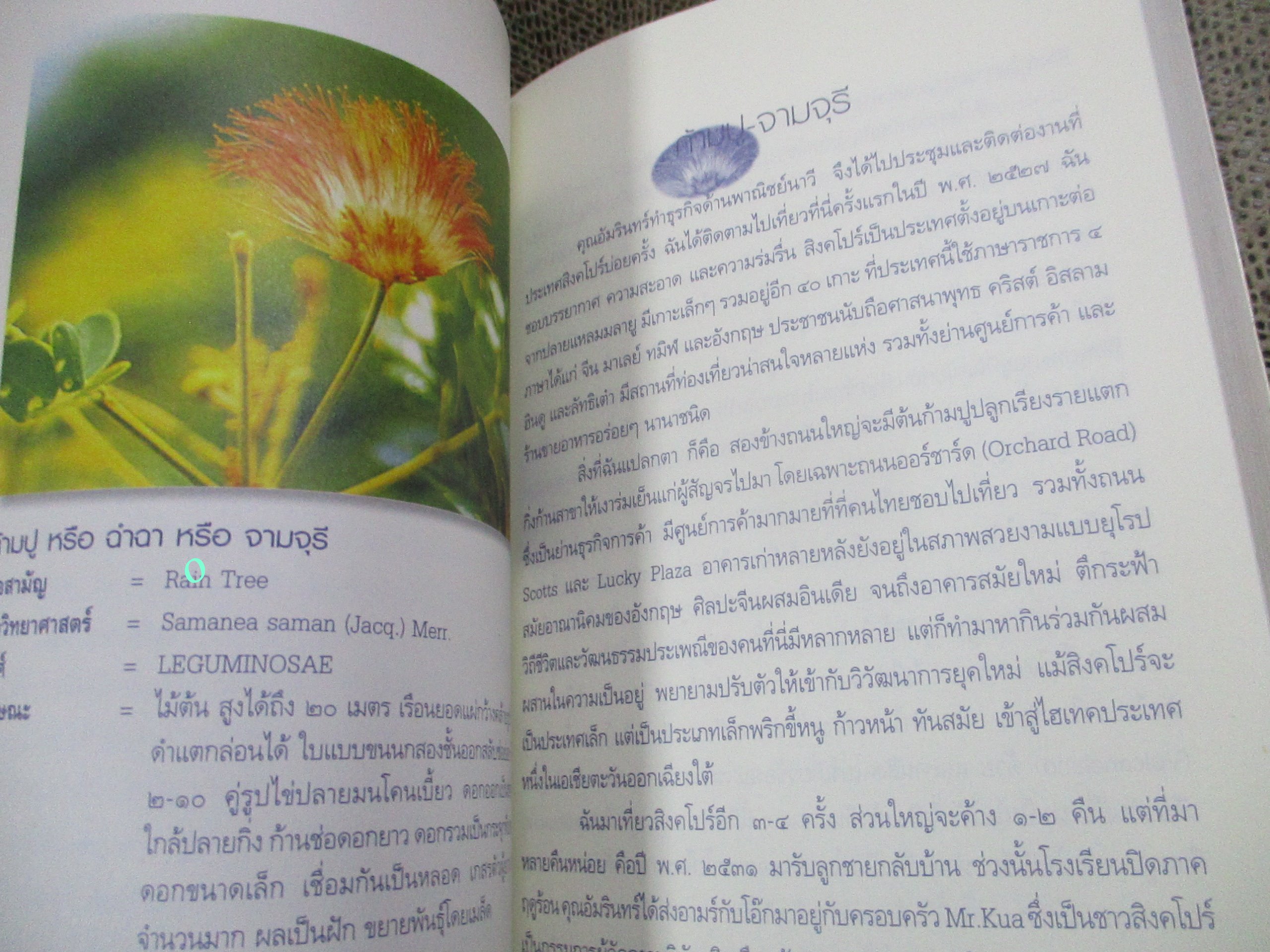 ดอกไม้ในสวน / เดือนฉาย คอมันตร์ / เป็นสารคดีอัตชีวประวัติของ เดือนฉาย คอมันตร์ เป็นงานเขียนที่ผ่านการกลั่นกรองอย่างรอบคอบ ด้วยประสบการณ์และ มุมมองอันลุ่มลึกระหว่างชีวิต ความคิดและธรรมชาติ