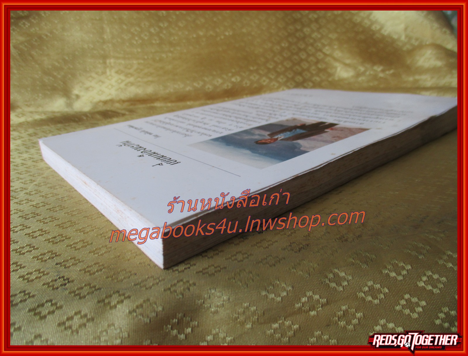 เยี่ยมเมืองมะกัน โดย ขจัดภัย บุรุษพัฒน์ สภาพดี