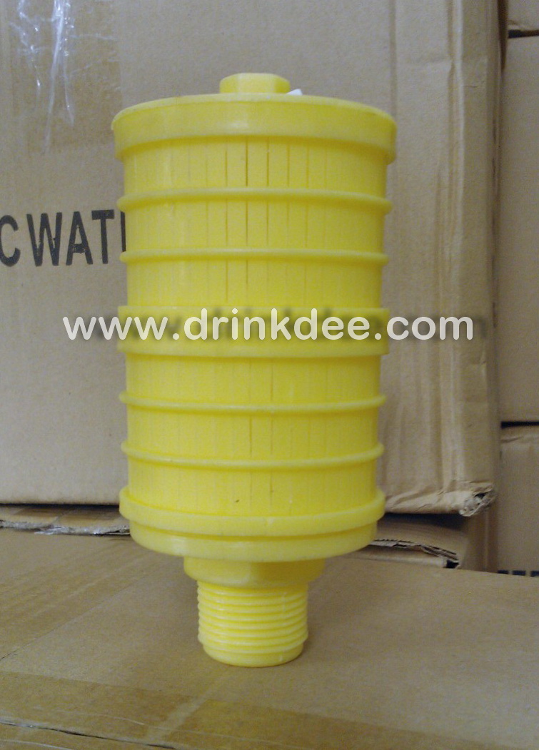 สแตนเนอร์ ดอกบวบ