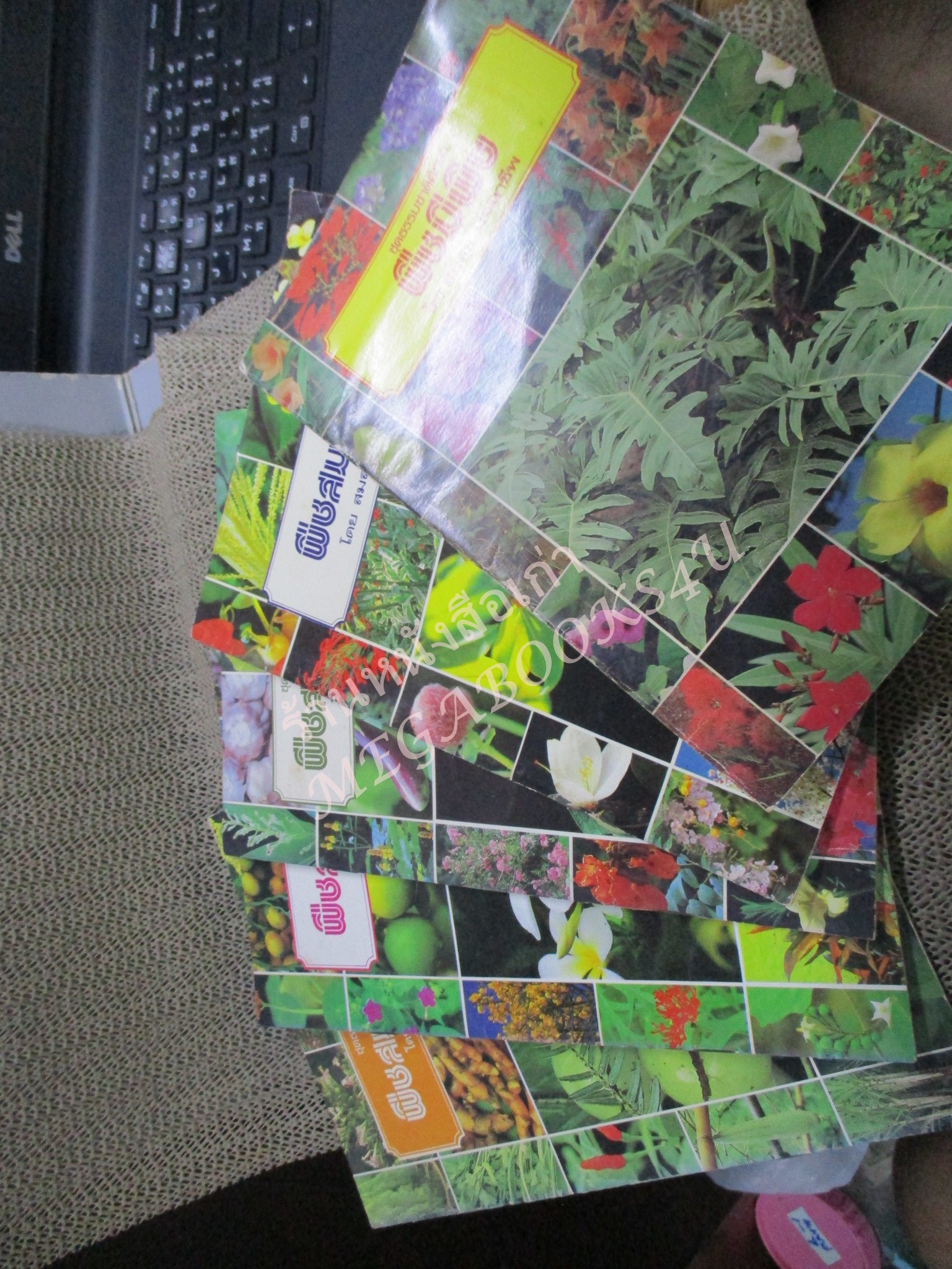 ธรรมชาติศึกษาชุด พืชสมุนไพร เล่ม 1-4 / พืชมีพิษ 1 เล่ม ทั้งหมด 5 เล่ม - สมสุข มัจฉาชีพ