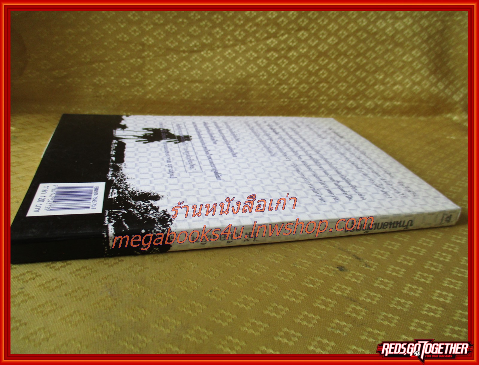 บ้านนอกเข้ากรุง /ไม้ เมืองเดิม / สนพ. ไพลิน