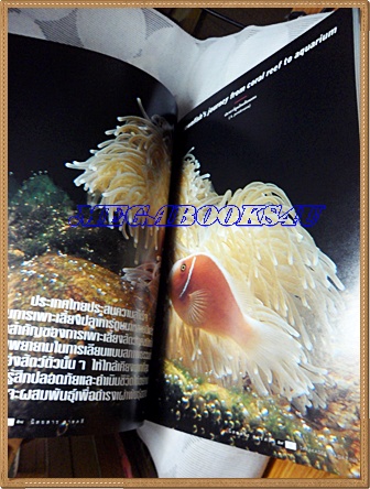 นิตยสารสารคดี ฉบับที่224 ตุลาคม 2546 ปีที่19 ปลาการ์ตูน,เอเวอร์เรสต์,พิณเปี๊ยะ,เที่ยวน้ำตกทั่วไทย,