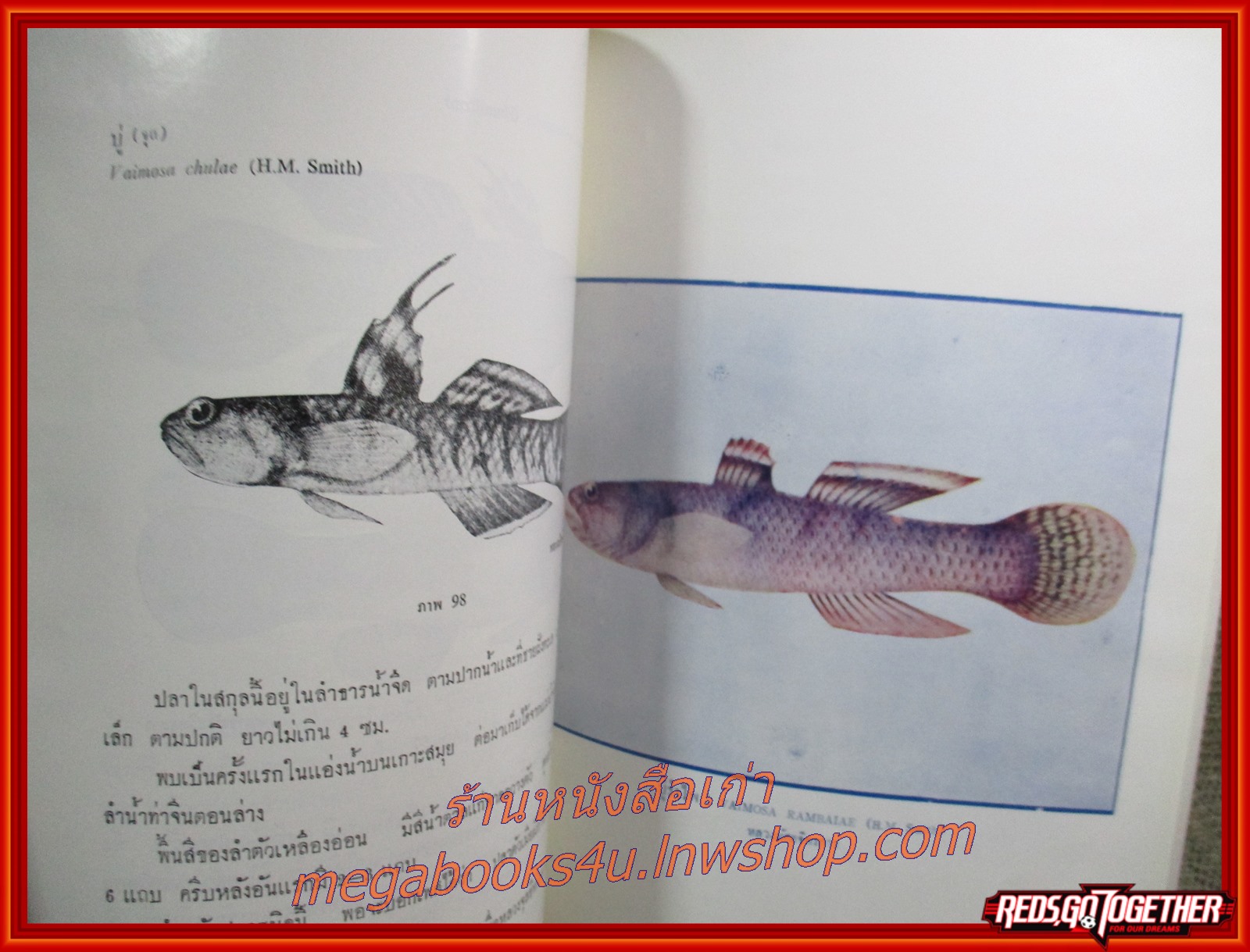 ปลาไทย อนุสรณ์งานพระราชทานเพลิงศพ หลวงมัศย์จิตรการ (ประสพ ตีระนันทน์)