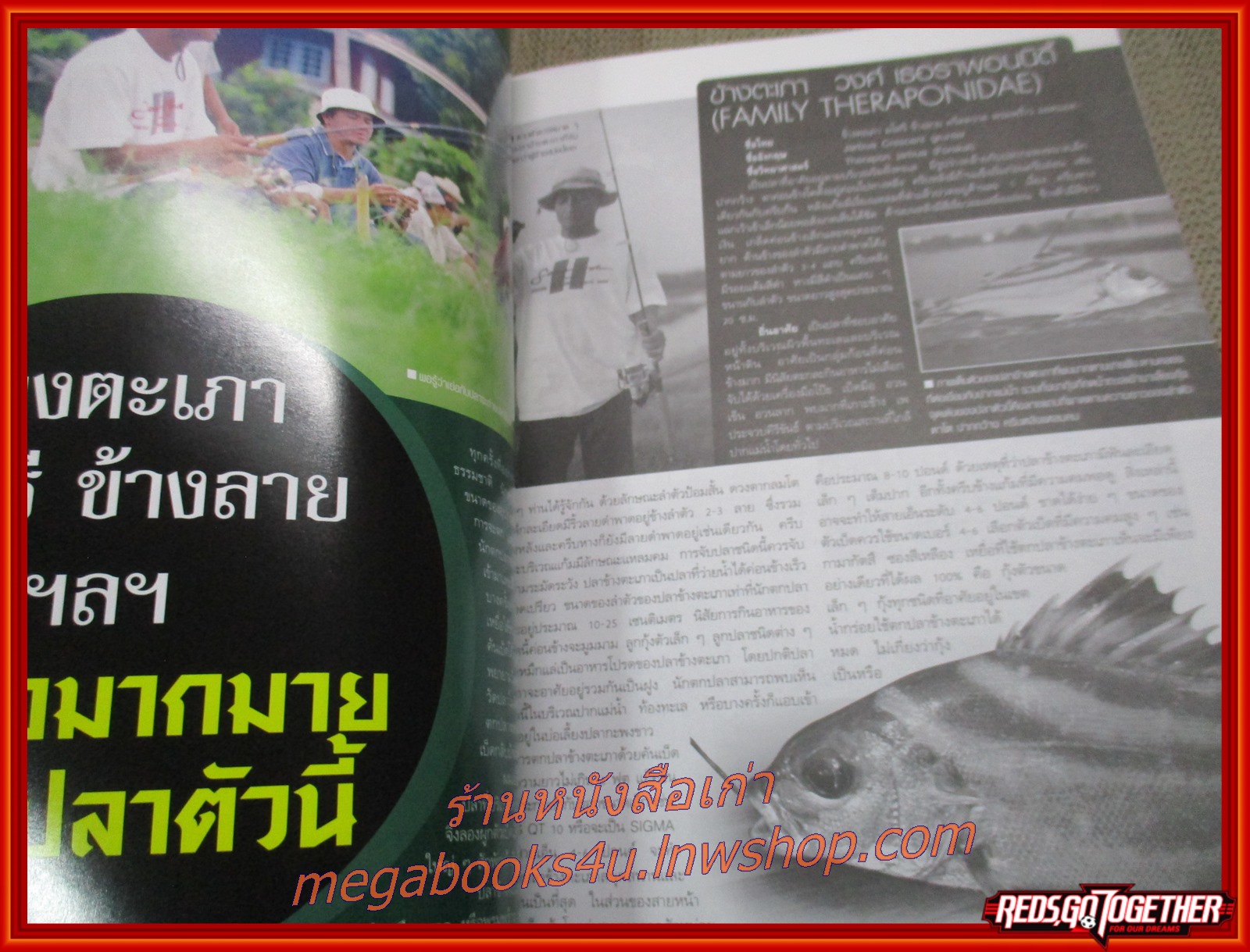 นิตยสาร เย่อกับปลา ฉบับที่083 ปี2547 ปก ข้างตะเภา มโหรี ข้างลาย