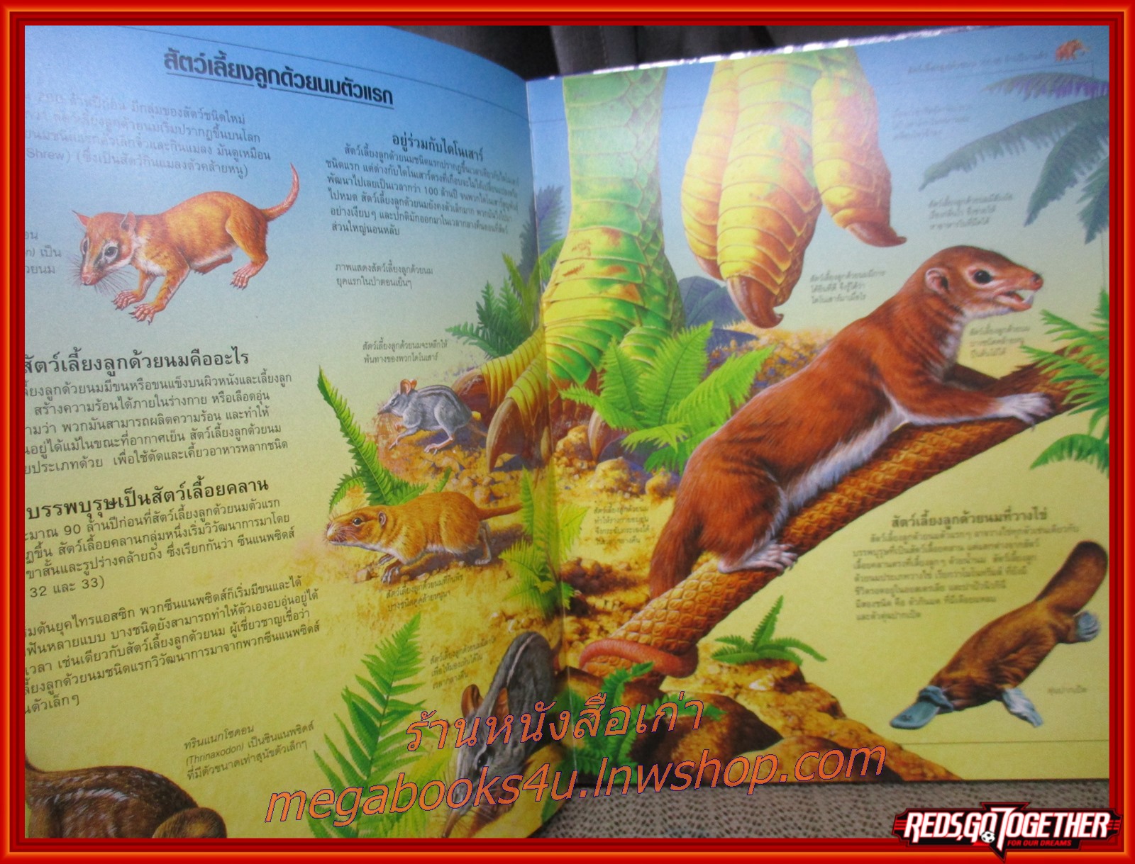 โลกยุคก่อนประวัติศาสตร์ Prehistory World / สนพ. ปาเจรา