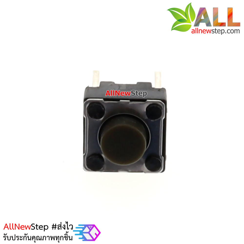 switch ไมโครสวิตช์ กดติดปล่อยดับ แบบ 2 ขา micro switch จำนวน 10 ชิ้น