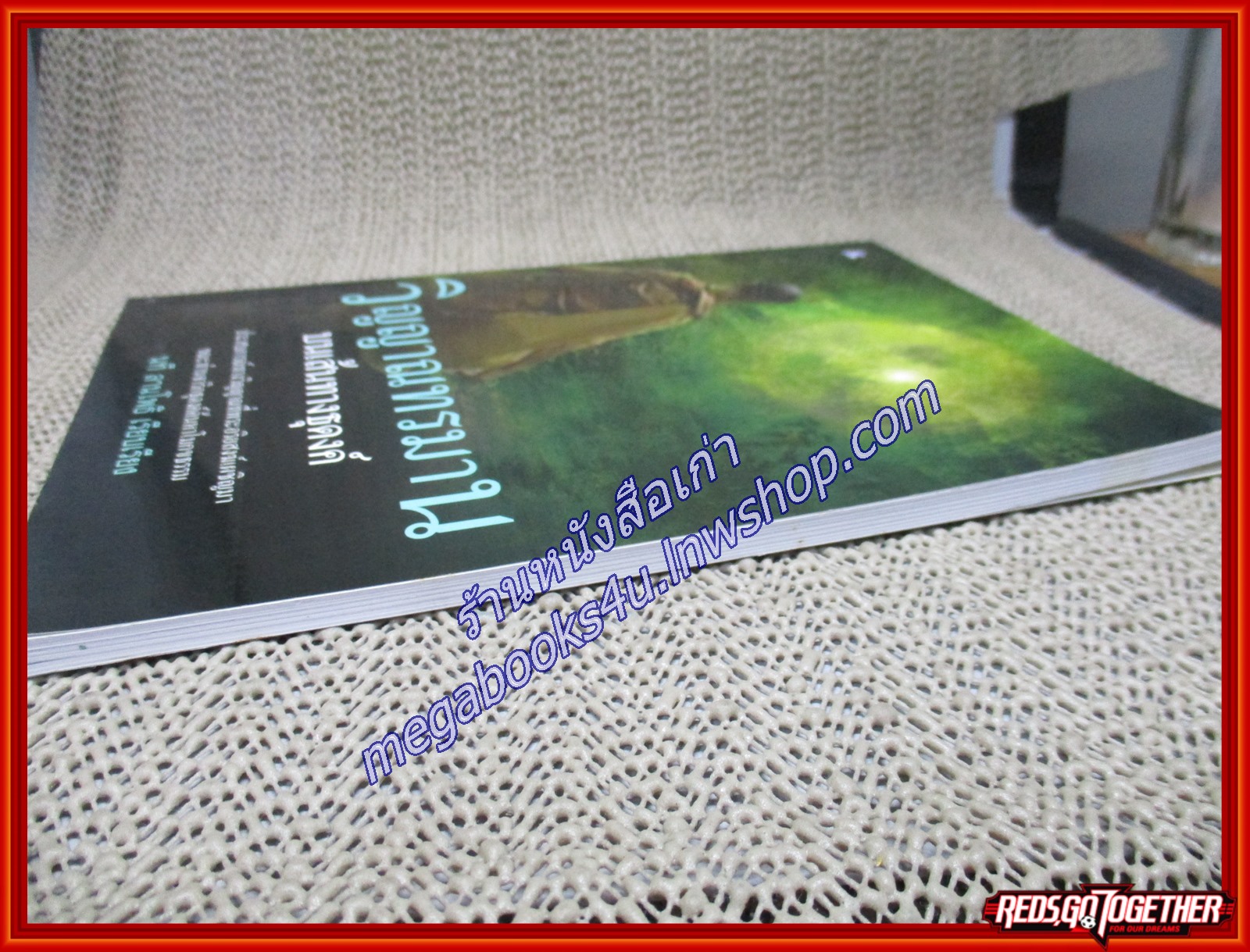 วิญญาณทรมาน/นที ลานโพธิ/ไพลิน (หนังสือบ้าน มือสอง) (สภาพ85-95%)