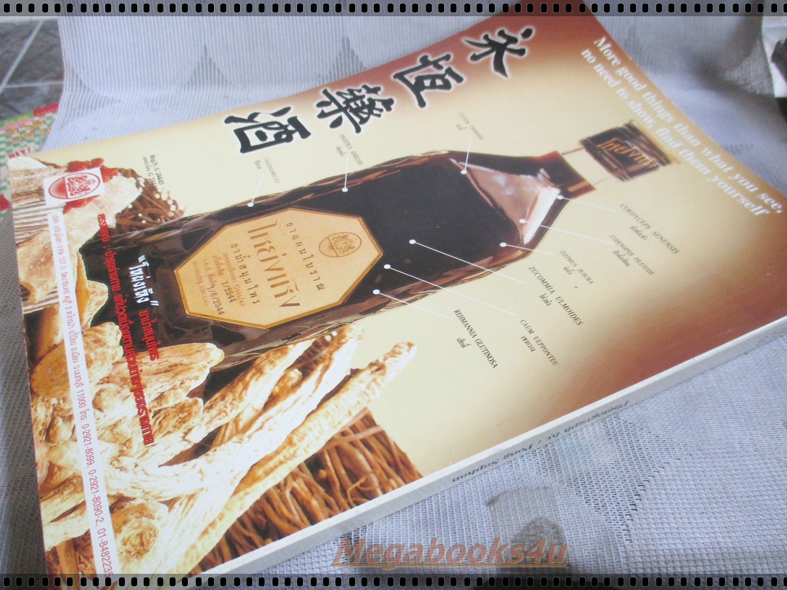 อัลบั้มรวมภาพ SUPER MODELS X-FILE