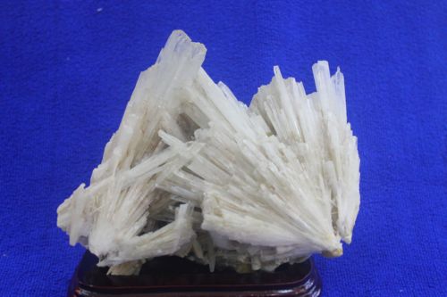 พุ่มหินเซเลไนต์ (Selenite)
