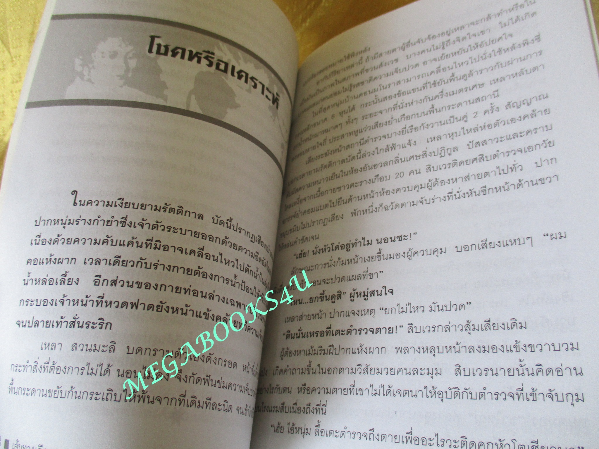 พลิกแฟ้มคดีดังเส้นทางเลือด เหลา สวนมะลิ ผู้เขียน สุริยัน ศักดิ์ไธสง (มือสอง) (สภาพ85-95%)
