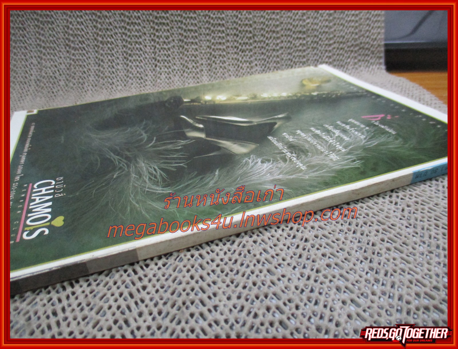 นิตยสารหนุ่มสาวมินิ เล่ม55