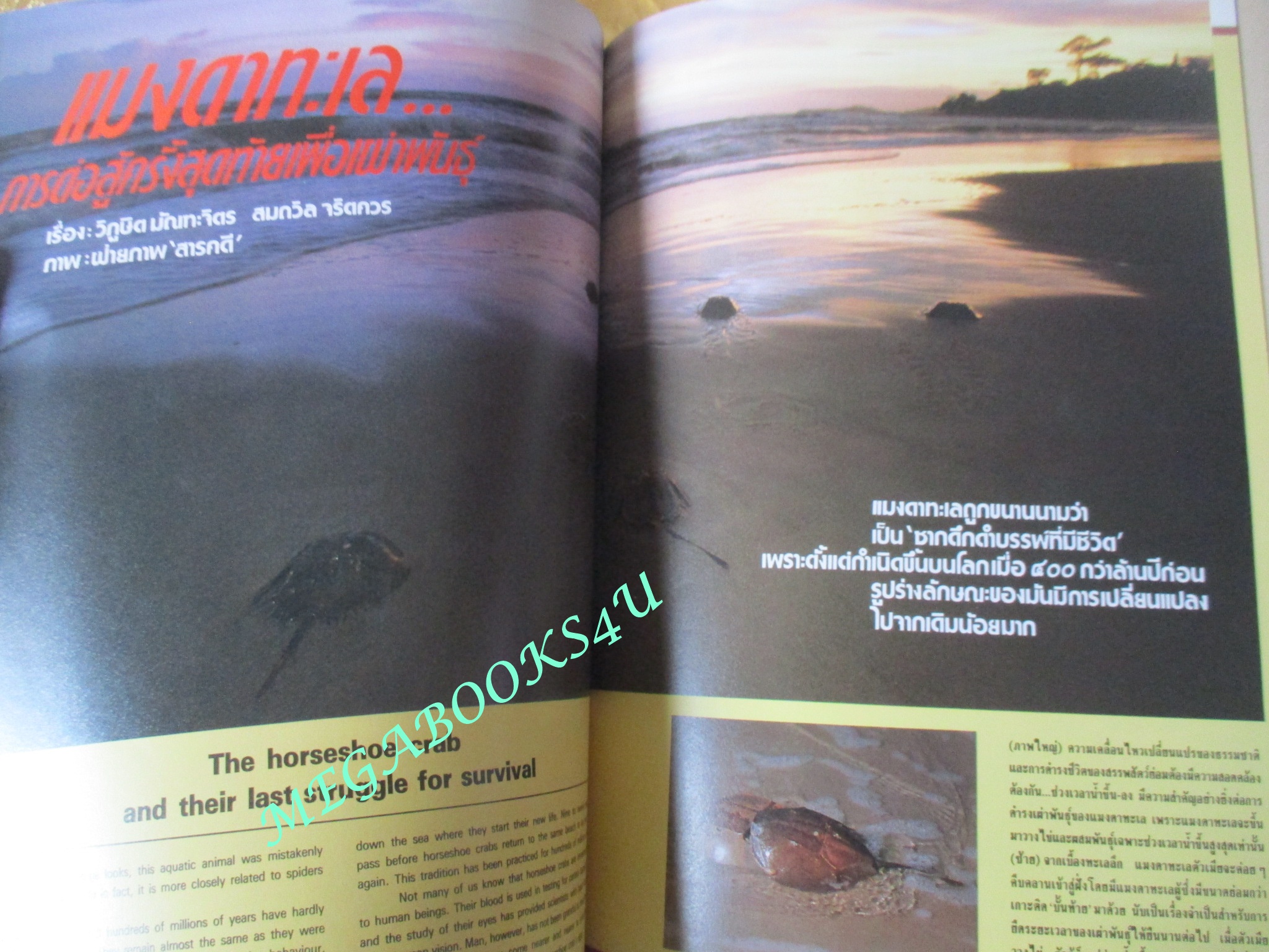 นิตยสารสารคดี ฉบับที่056 ตุลาคม 2532 UDT วีรบุรุษใต้น้ำ นักทำลายใต้น้ำ แมงดาทะเล บอนไซ