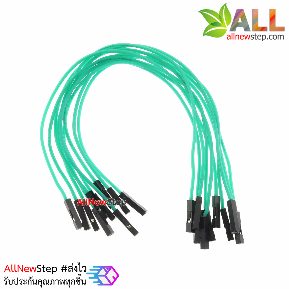 สายไฟจัมเปอร์ 20cm สาย jumper 20 cm จำนวน 10 เส้น เมีย-เมีย สีเขียว