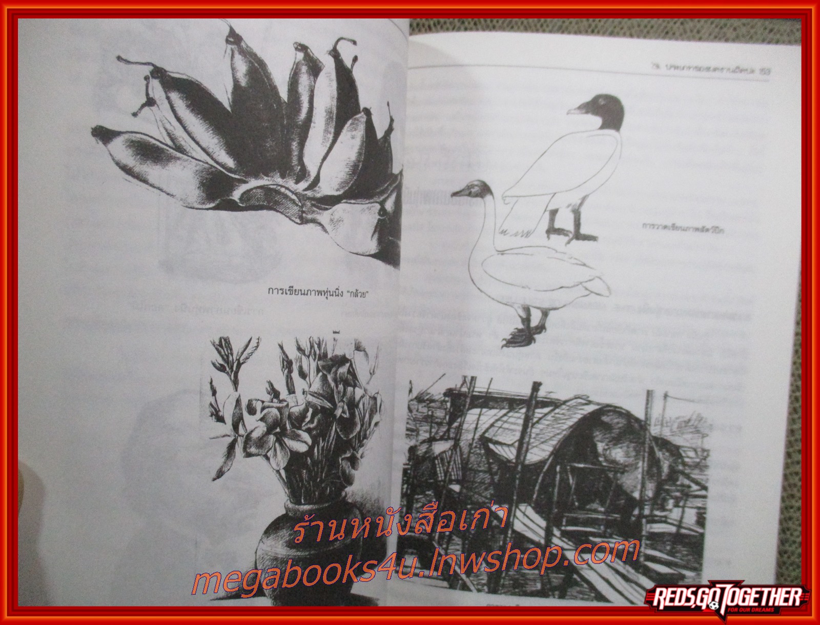 วาดเขียน DRAWING เขียนโดย อภิศักดิ์ บุญเลิศ