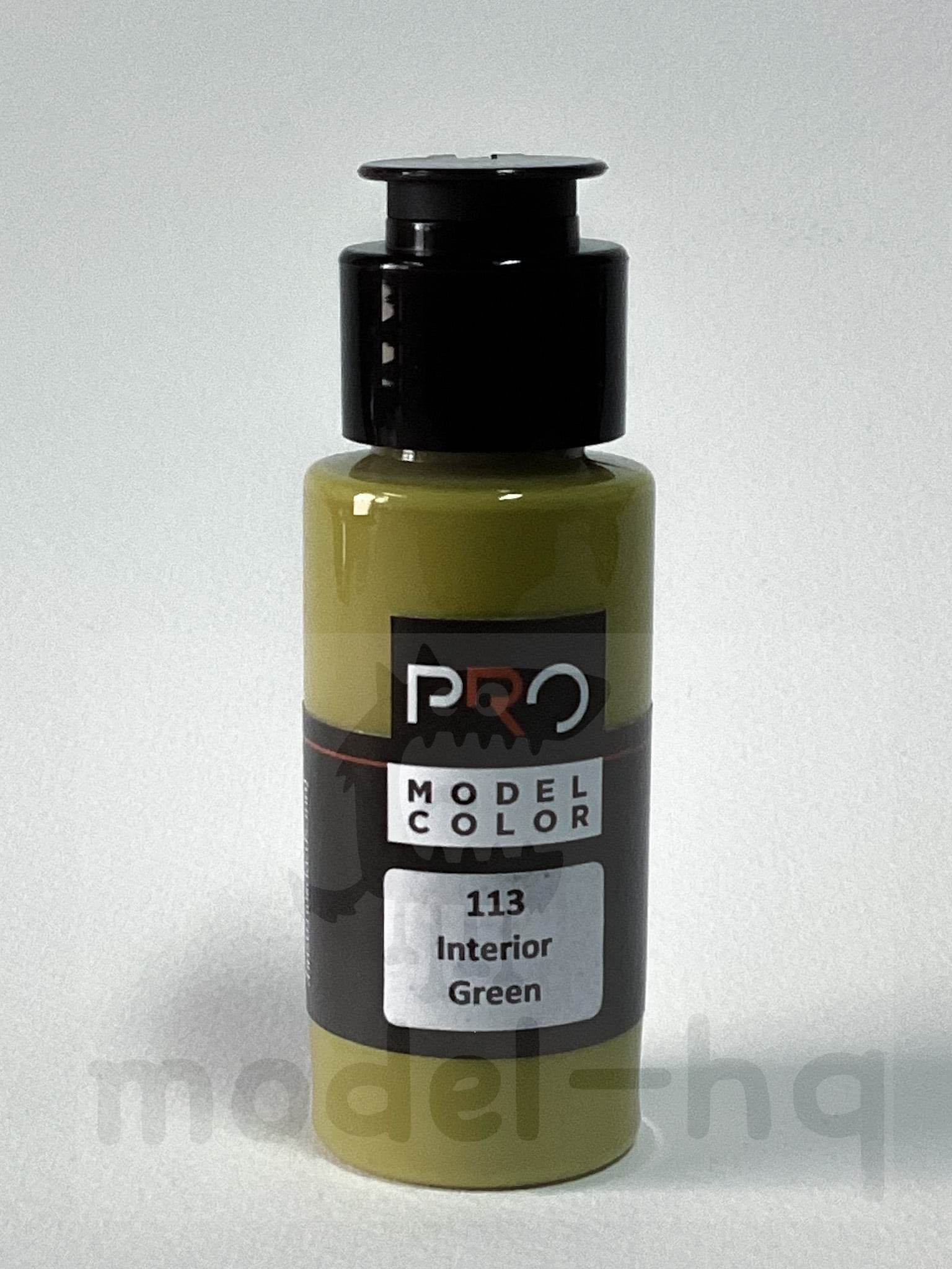 PRO COLOR # 113 INTERIOR GREEN ขนาด 30ml