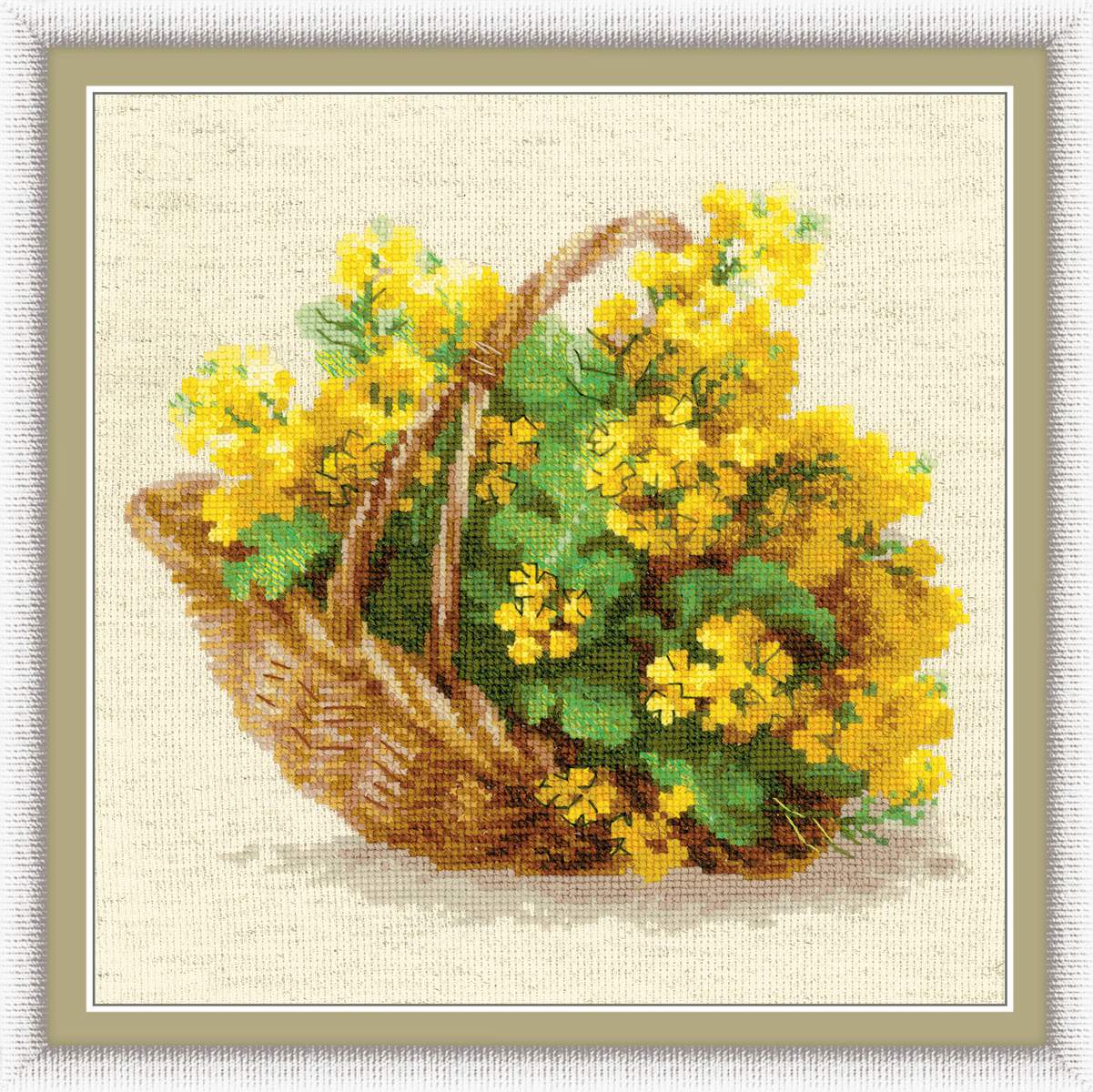 Riolis Yellow Rapeseed