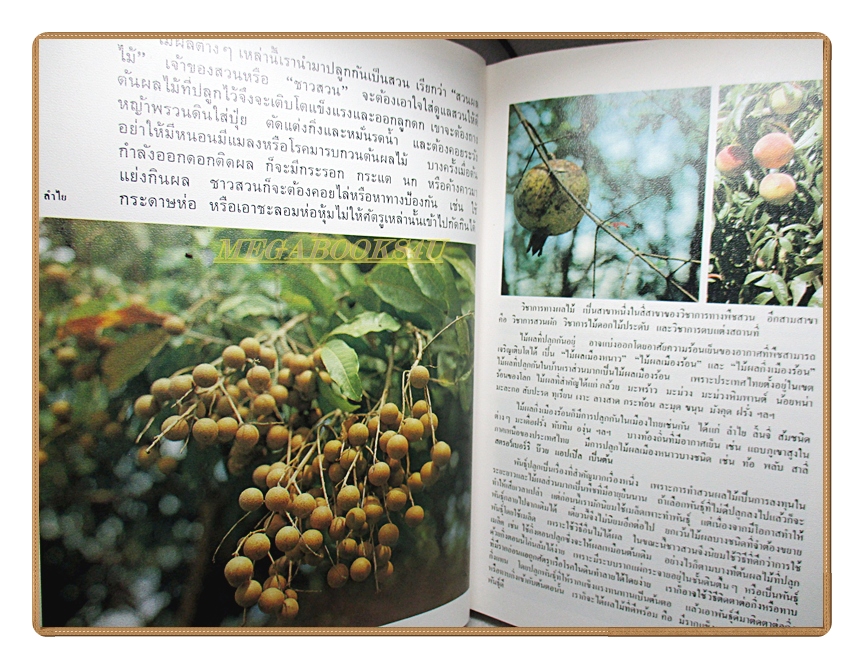 สารานุกรมไทยสำหรับเยาวชน เล่ม05 โดยพระราชประสงค์ในพระบาทสมเด็จพระเจ้าอยู่หัว