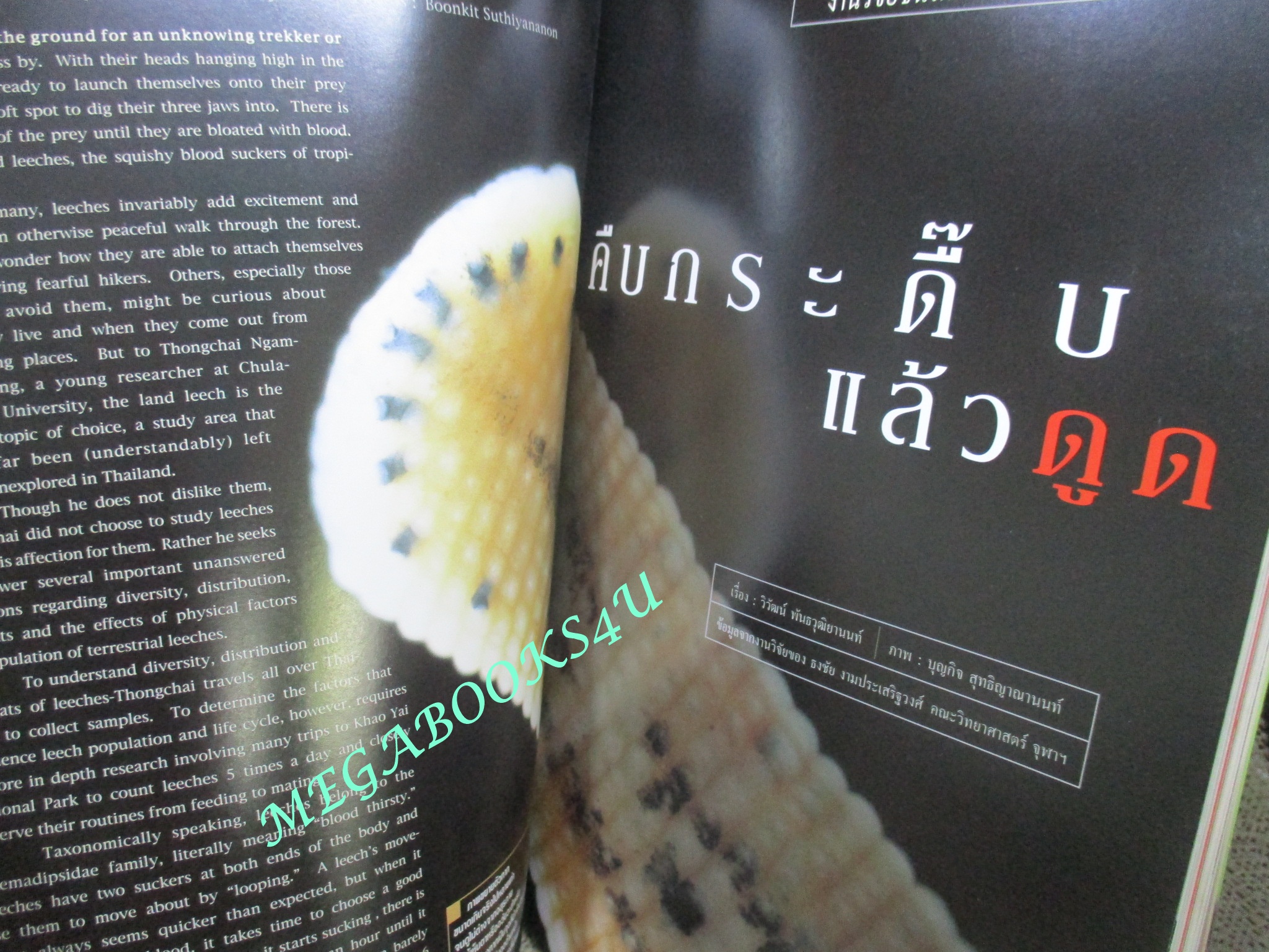 นิตยสารสารคดี ฉบับที่221 ปีที่19 ก.ค.2546,มอเตอร์ไซค์,ป่าสันทรายชายหาด,ทาก,จิตรกรรมฝาผนัง,