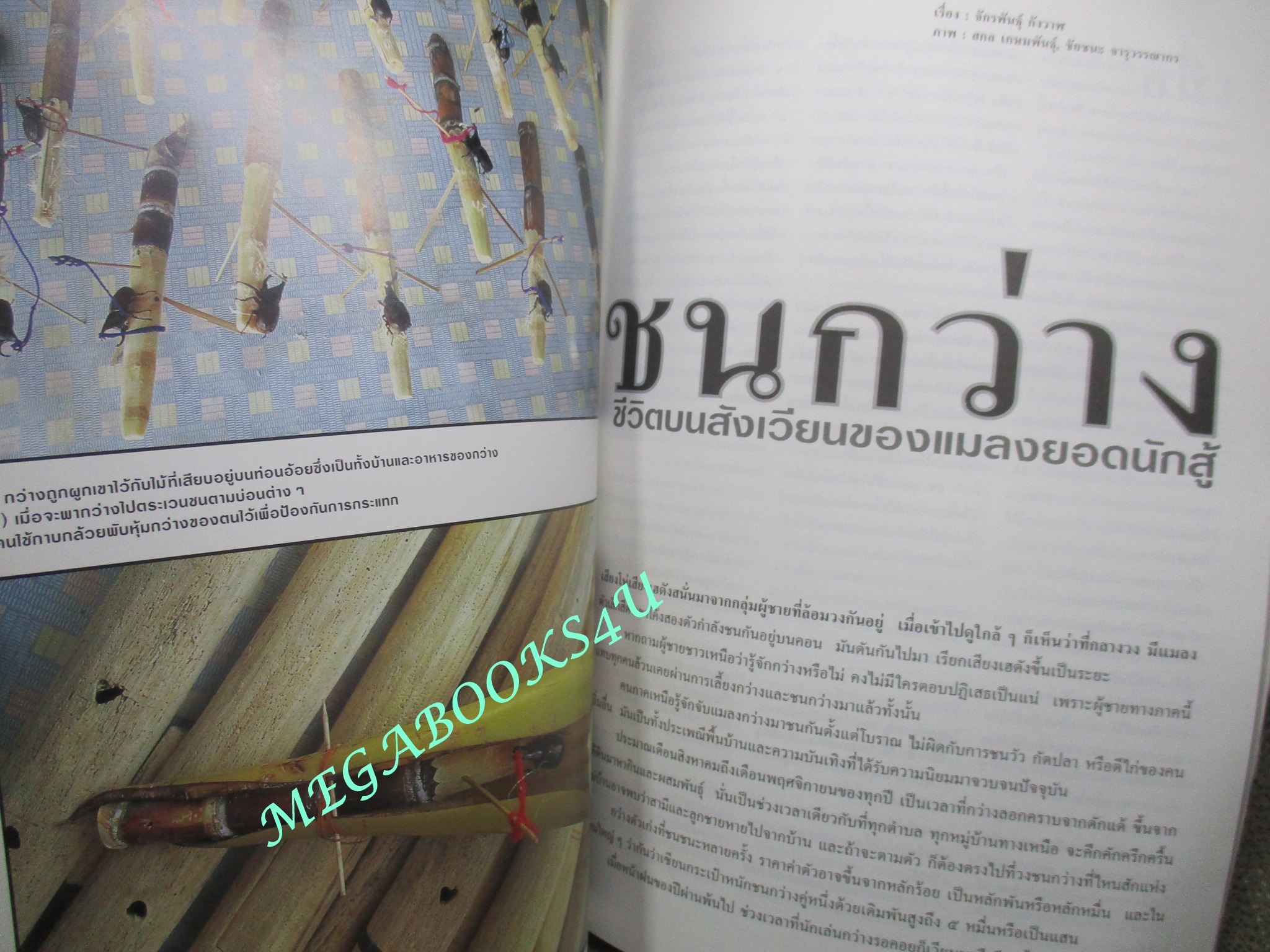 นิตยสารสารคดี ฉบับที่194 เมษายน 2544 เฟิน,ชนกว่าง,สำรับแขกคลองบางหลวง