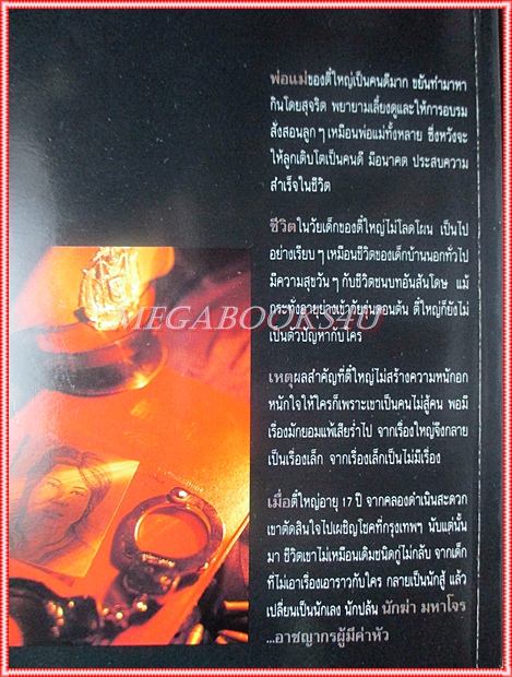 ตี๋ใหญ่ เรื่องจริง โดย พล.ต.ต.สมเกียรติ พ่วงทรัพย์ สภาพดี