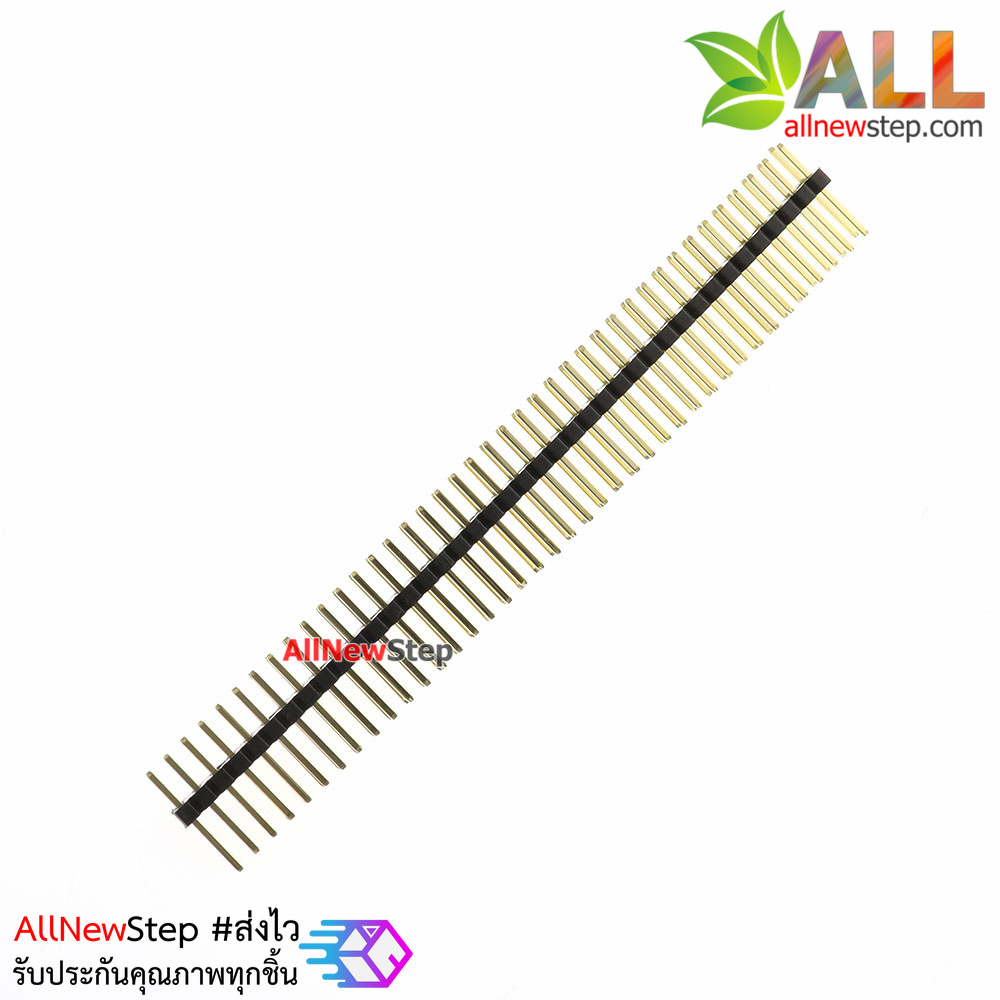 ขาก้างปลา 2x40 ขา ระยะห่าง Pitch 1.27mm
