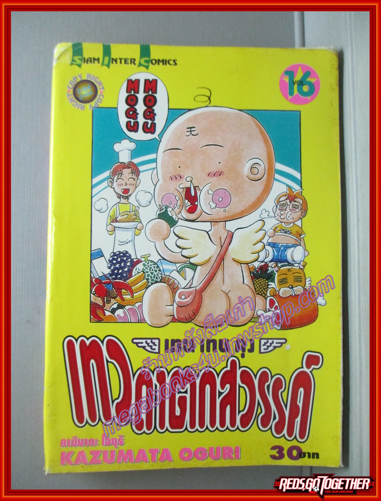 การ์ตูนบ้าน เทน เทน คุง เทวดาตกสวรรค์ เล่ม16 สนพ.สยามฯ สภาพพอใช้ เก่าหน่อย