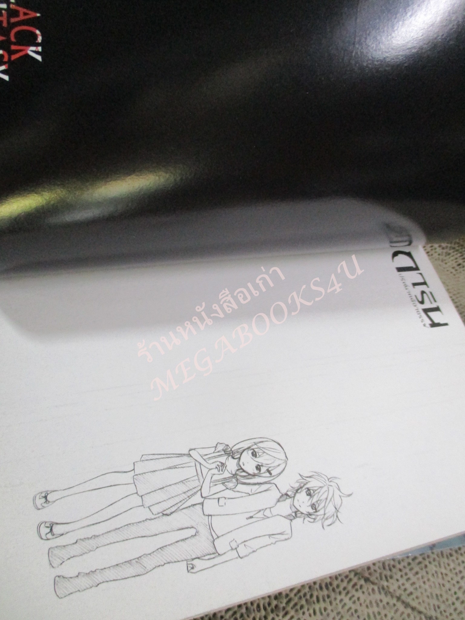 การ์ตูน การิน ปริศนาคดีอาถรรพ์ ภาค คดีที่ 12 สาปนาฏกรรมดาวหาง (ภาคแรก+ภาคจบ รวม2เล่ม) / อัยย์ / Punica /