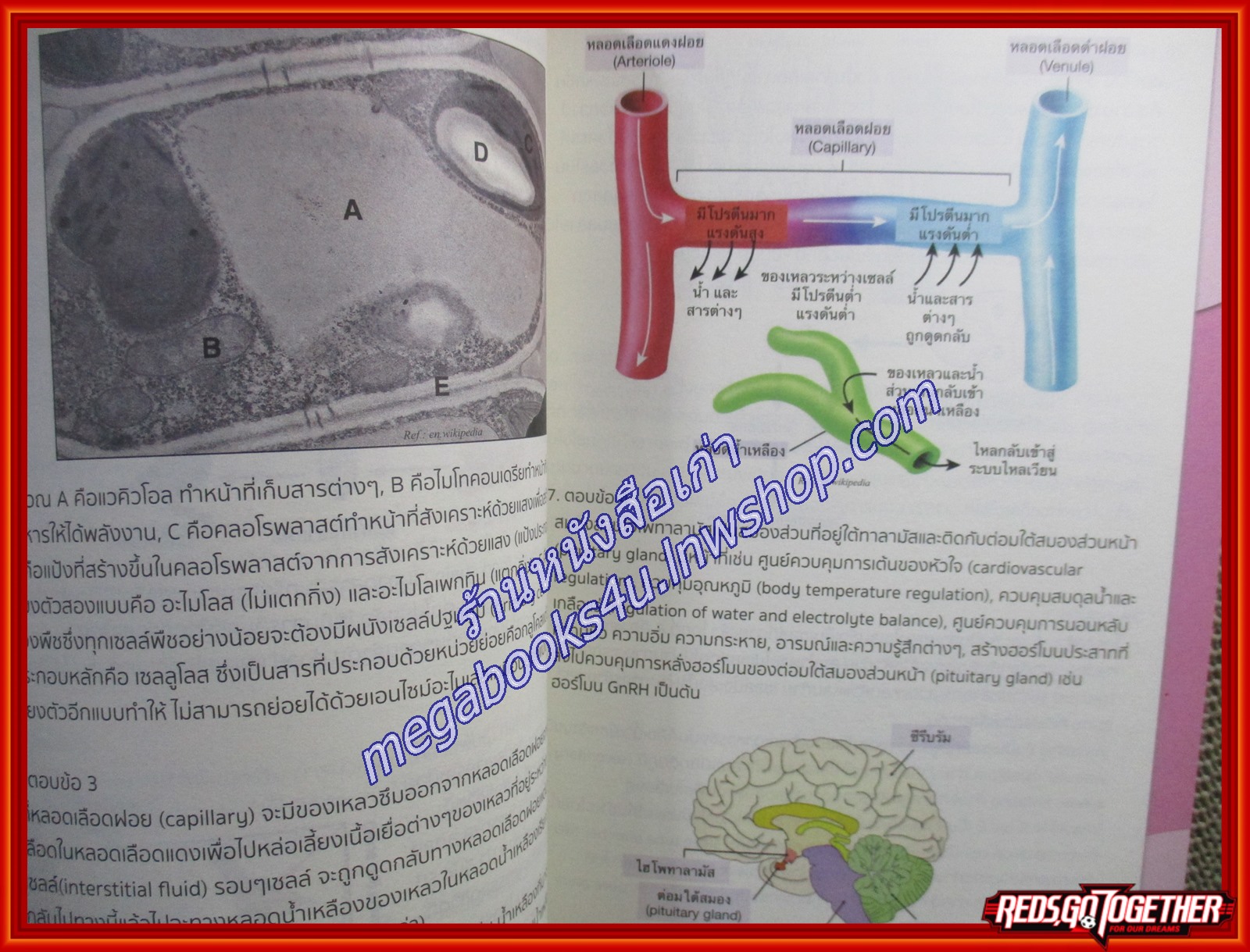 คู่มือเตรียมสอบ ติววิทย์ ตะลุยโจทย์ TCAS ชีววิทยา (มือสองบ้าน) (สภาพ80-90%)