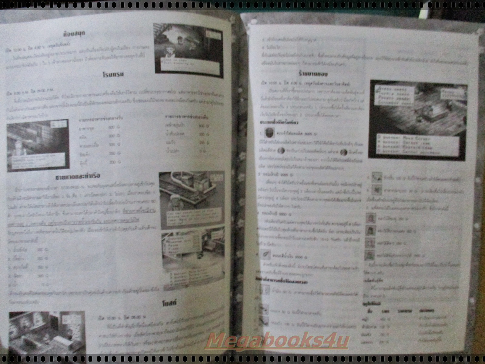 หนังสือคู่มือเกมส์ HARVEST MOON BACK TO NATURE