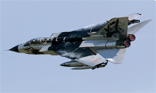 1/48 TORNADO IDS BLACK PANTHERS
