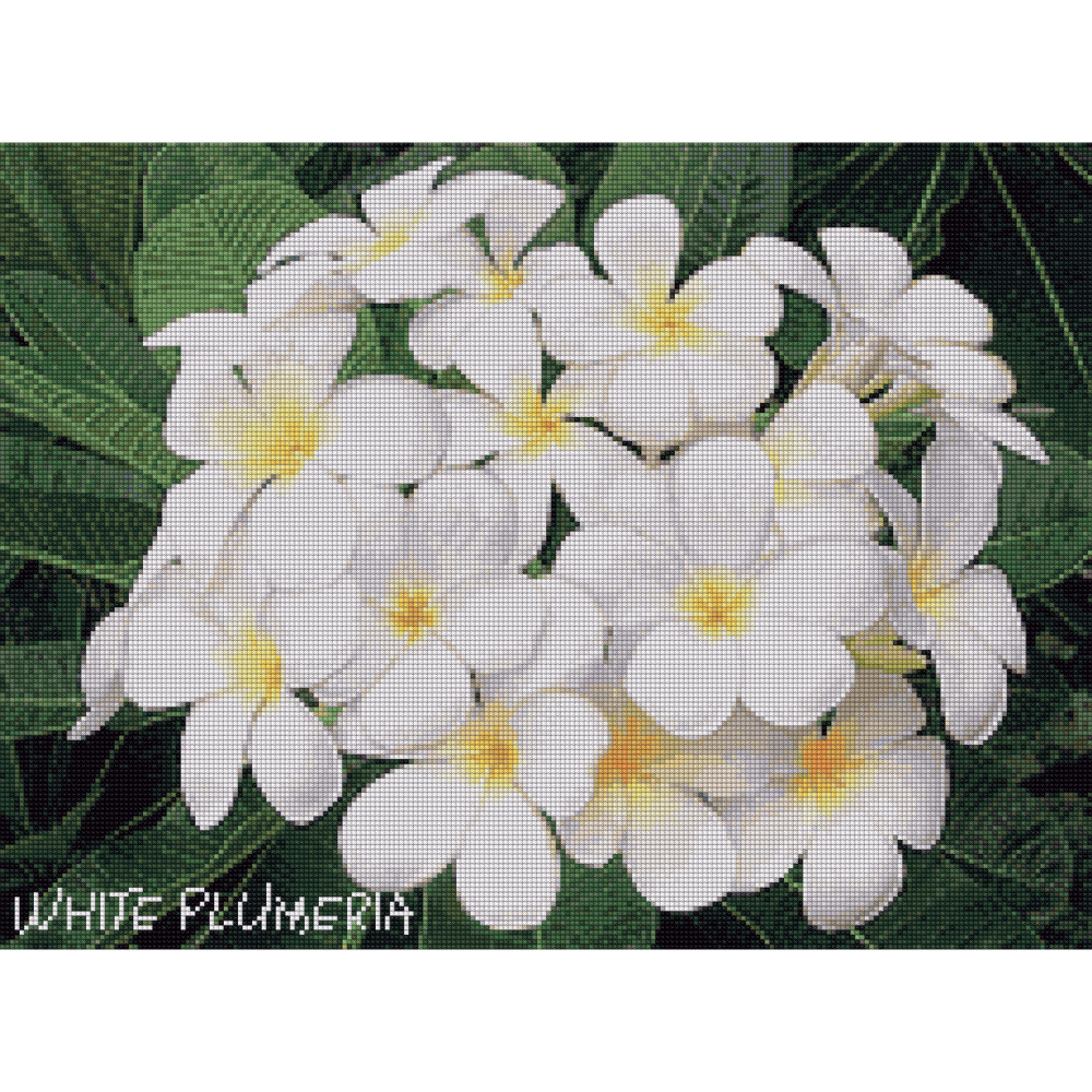 Pinn ลีลาวดี (ขาว)