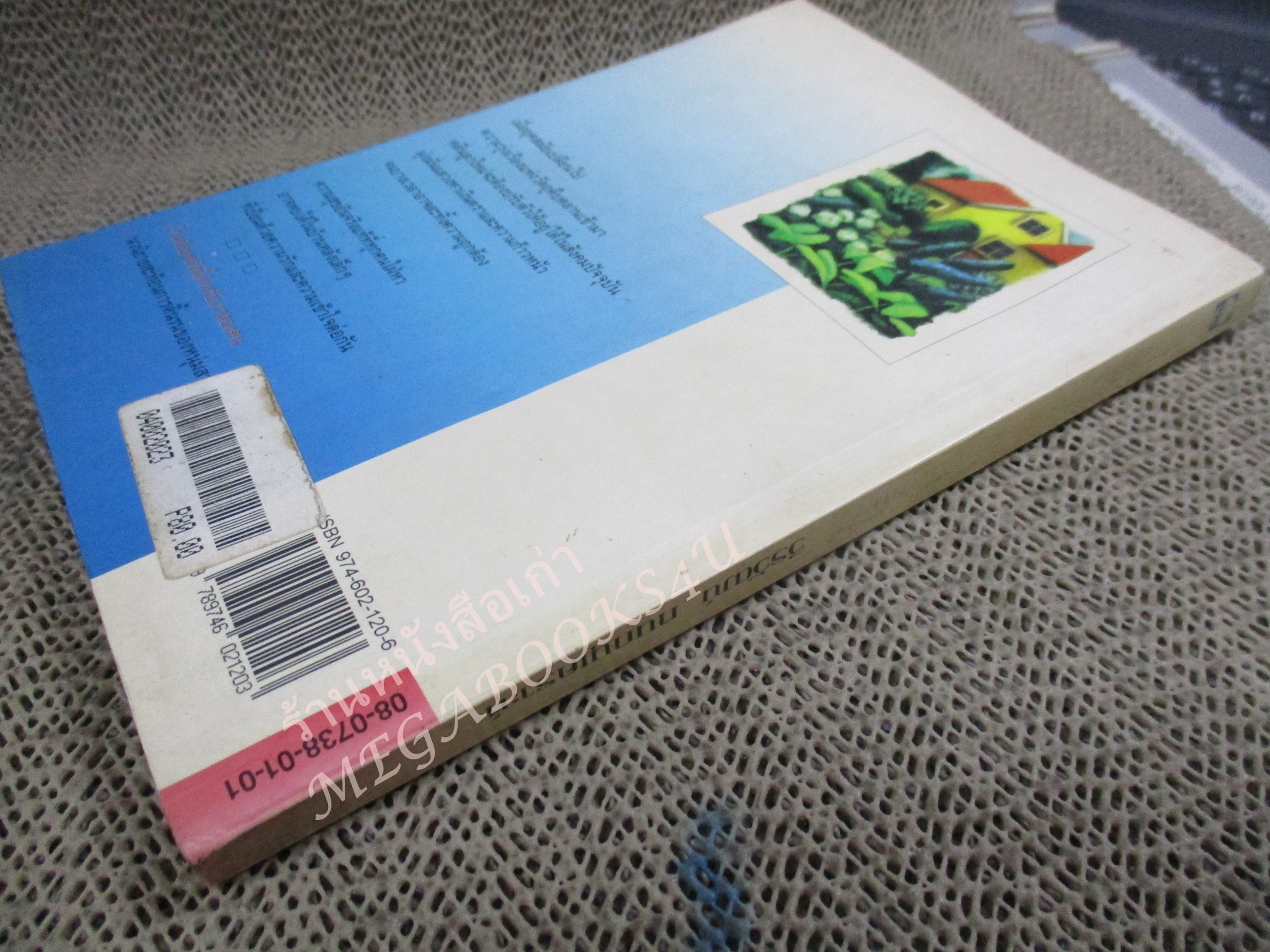 บ้านน้อยหลังนี้สำหรับเรา2คน / วีรวัฒน์ กนกนุเคราะห์ /ดอกหญ้า / หน้าปกมอมแมมนิด